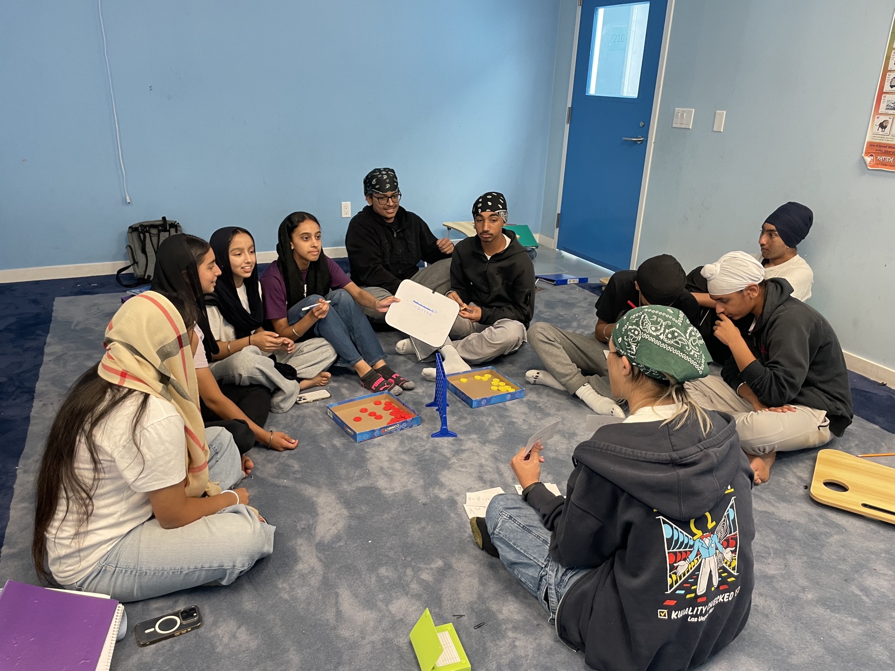Career Guidance and Professional Mentorship
